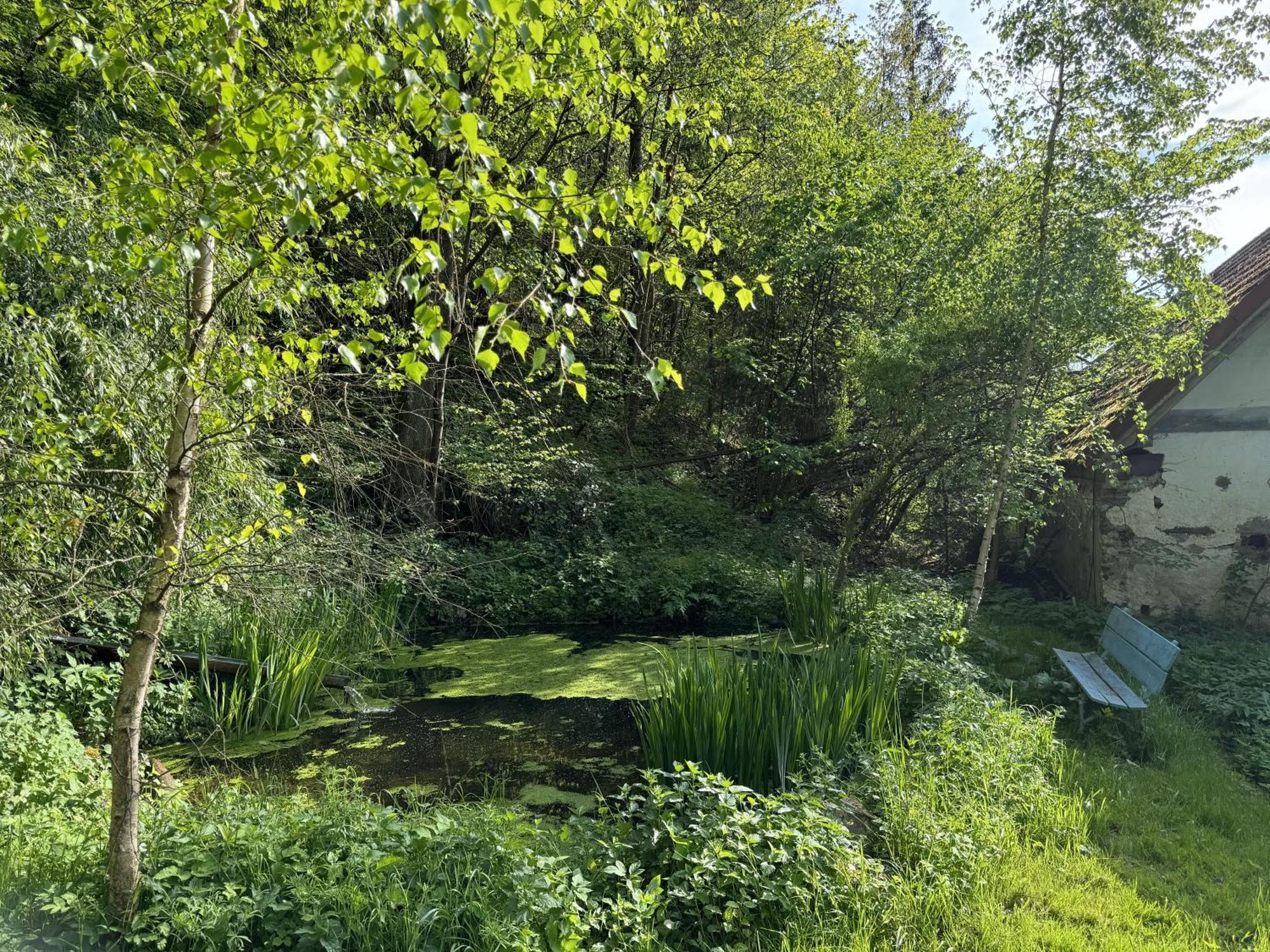 Bejsovcuv Mlyn Villa Becice Buitenkant foto